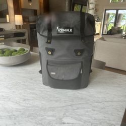Icemule Urbano 30L Cooler/backpack