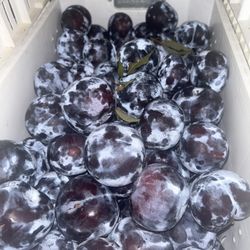Organic Owen Plums 