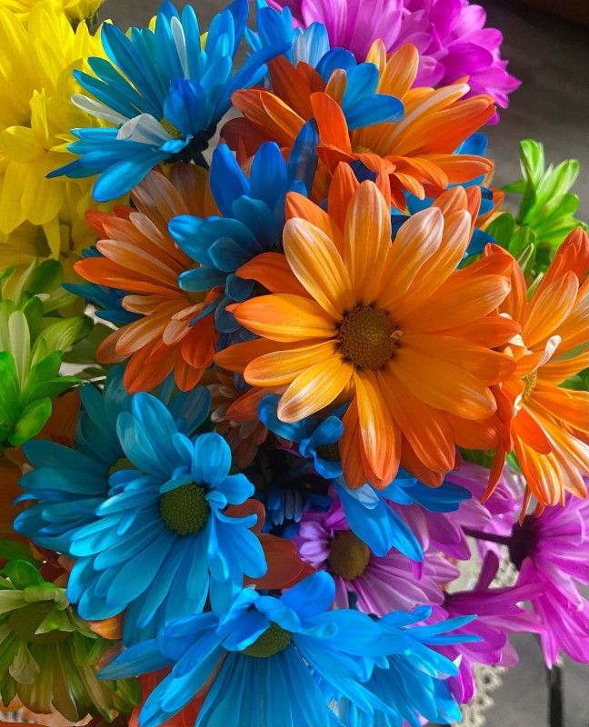 Florist Fresh Flowers Arregments