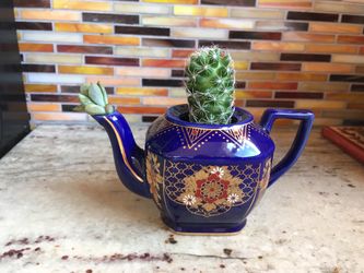 Tiny teapot with cactus and succulent