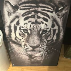 Tiger Art
