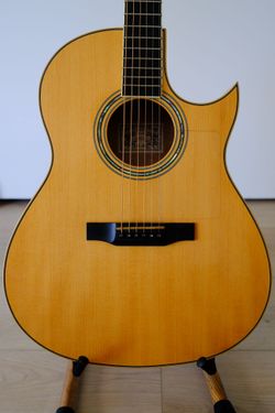Larrivee C09 Rare Guitar