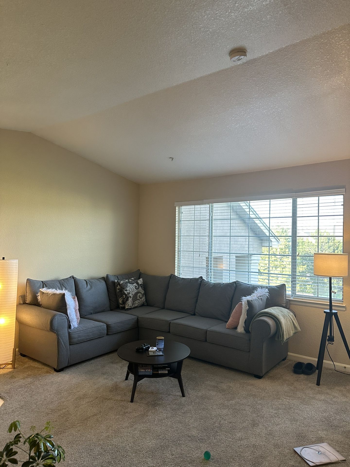 Grey Sectional Couch for Sale