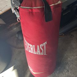 Everlast Punching Bag 40lbs