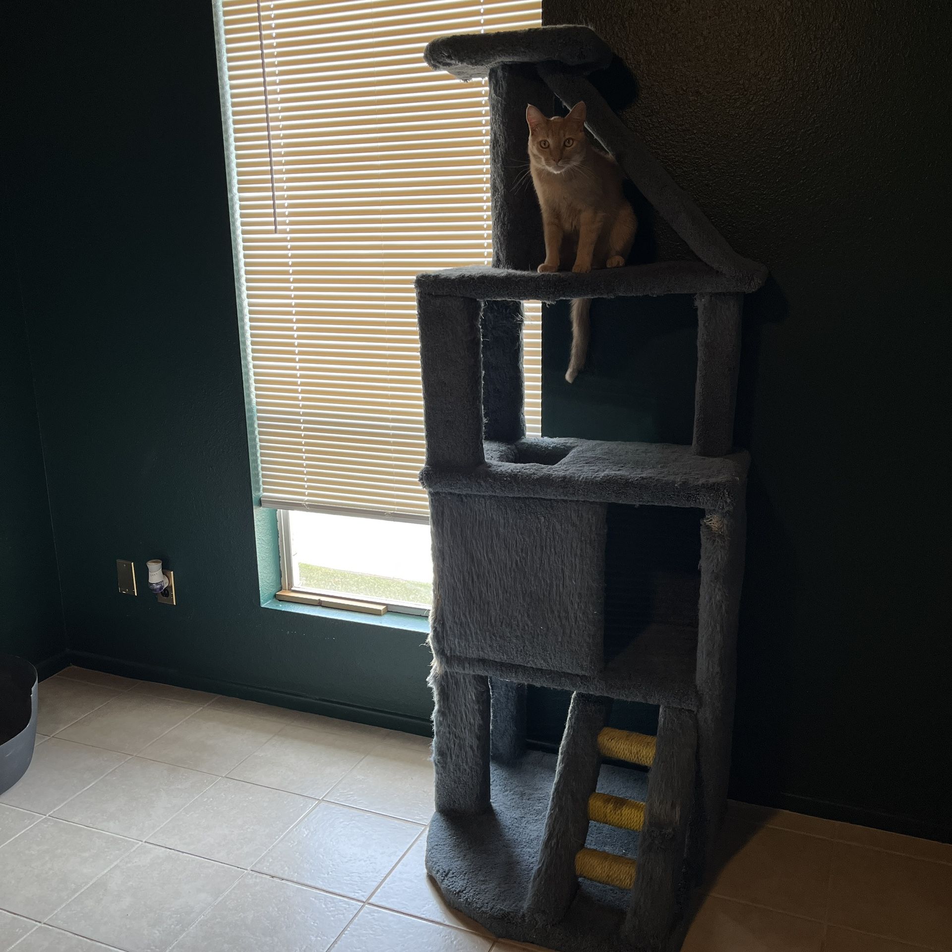 FREE Cat Tree