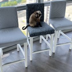 Stools 