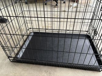 Dog Kennel 