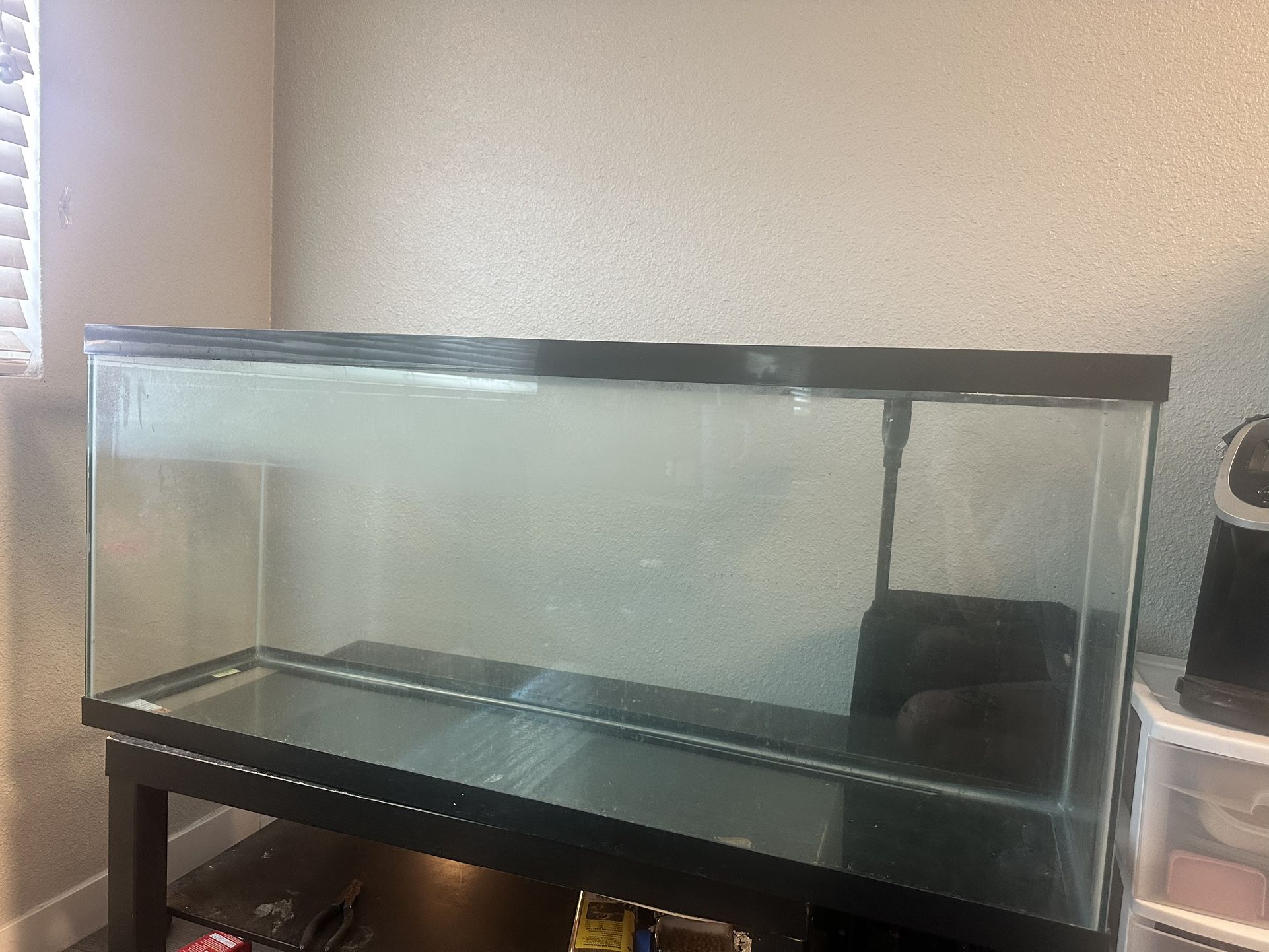 75 Gallon Aquatic Tank & Lamp