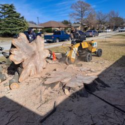 STUMP GRINDING