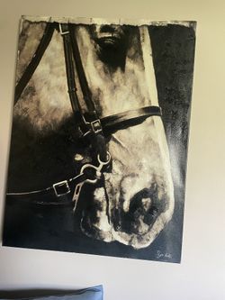 horse profile