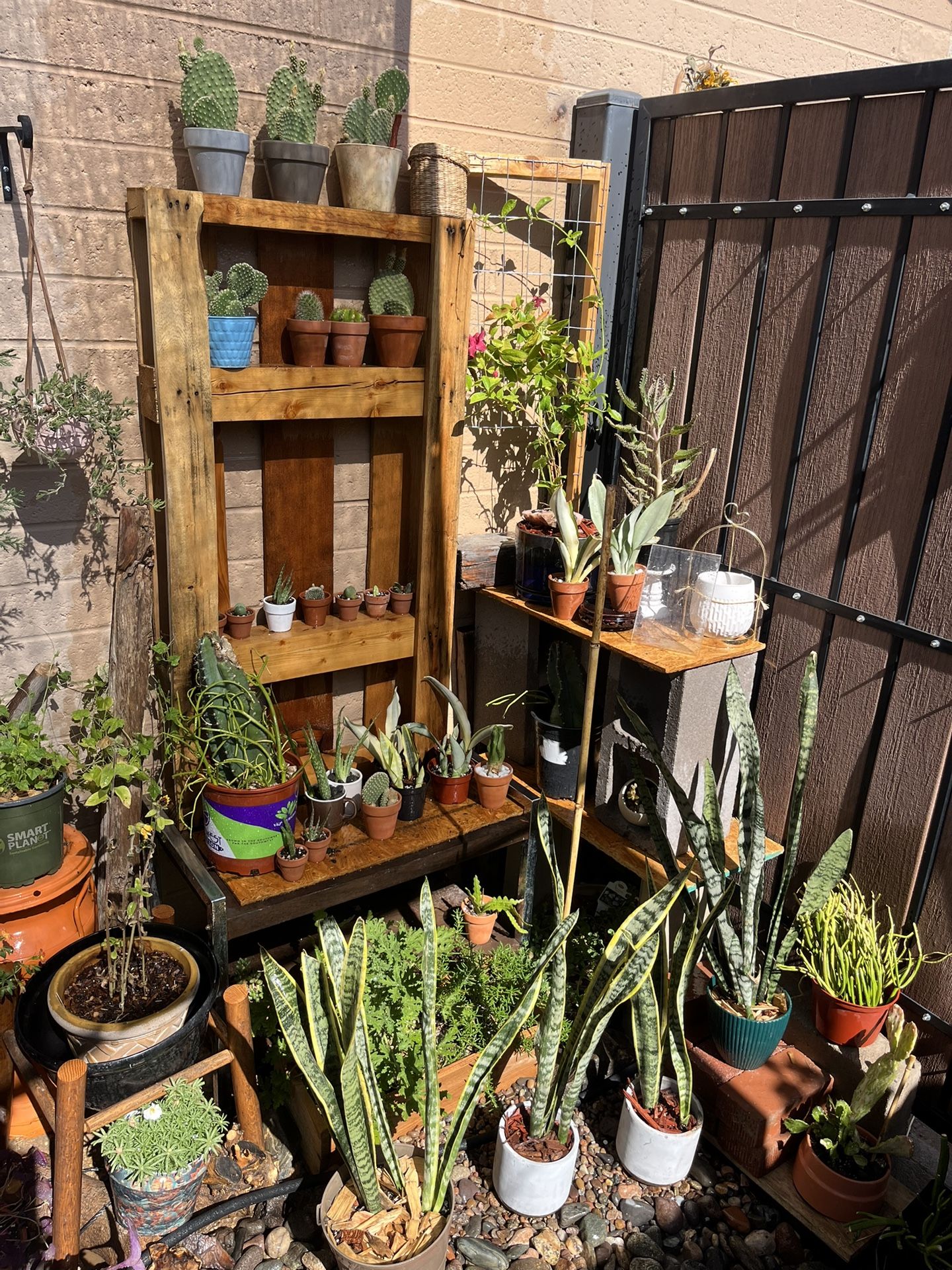 Plant Sale