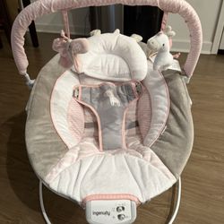 Baby girl bouncer 