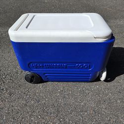 Igloo Cooler