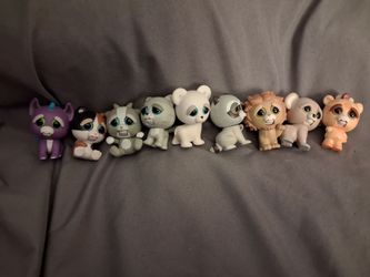 Feisty pets mini misfits