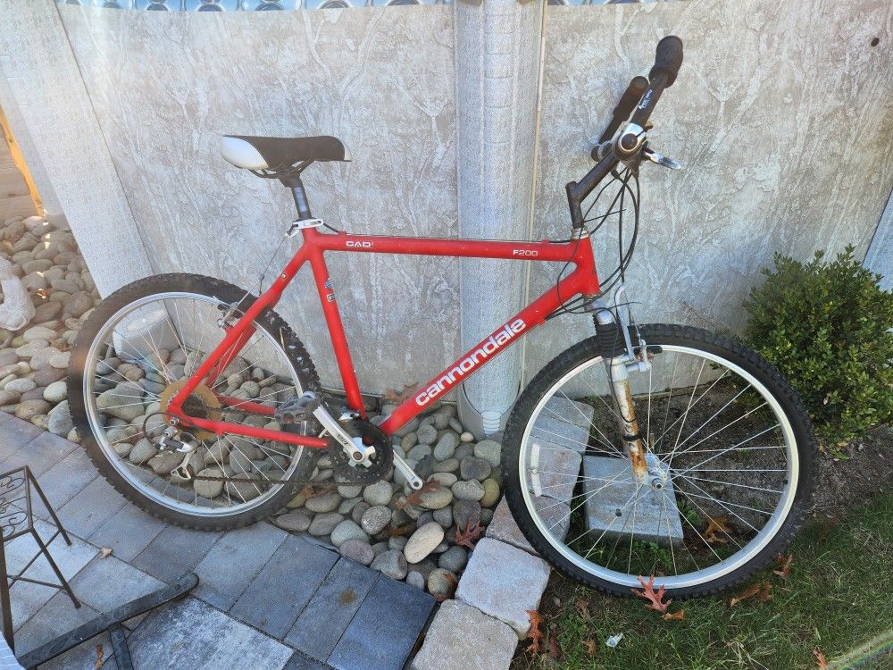 Rare Cannondale Super Lite Weight