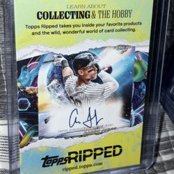 2024 Aaron Judge  Ripped Card  New York Yankees SP