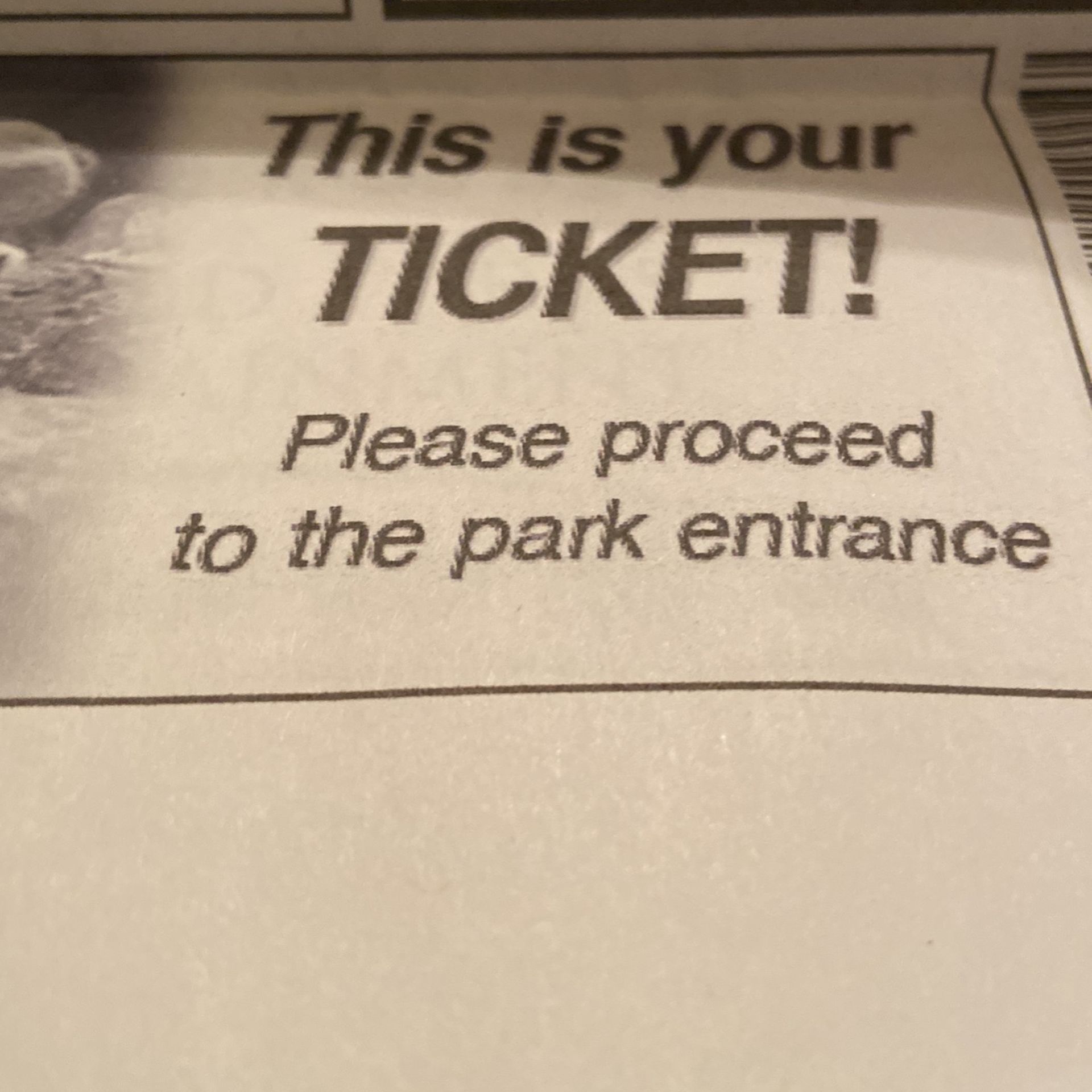 Adult Or Child One Day Any Day Sea World Ticket