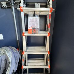 Little Giant Ladder 