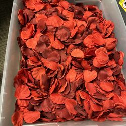 Silk Rose Petals