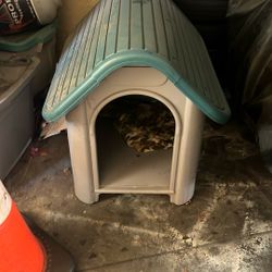 Dog House