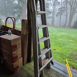 Werner 300lb Capacity 25’ Ladders - 2