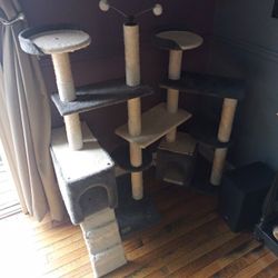 Large Cat Climber Tree