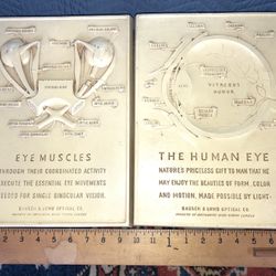 Two Vintage Bausch and Lomb Optical Eye Display Plaques  Dimensions  13.5" x 9.5"
