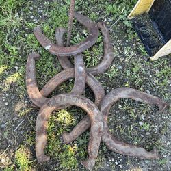 HORSESHOES (6)
