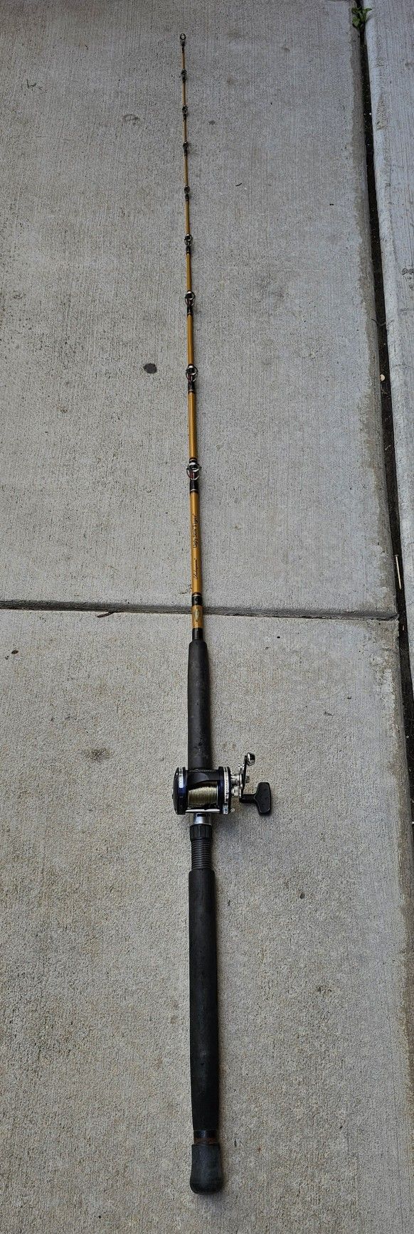 Fishing Rod Combo 