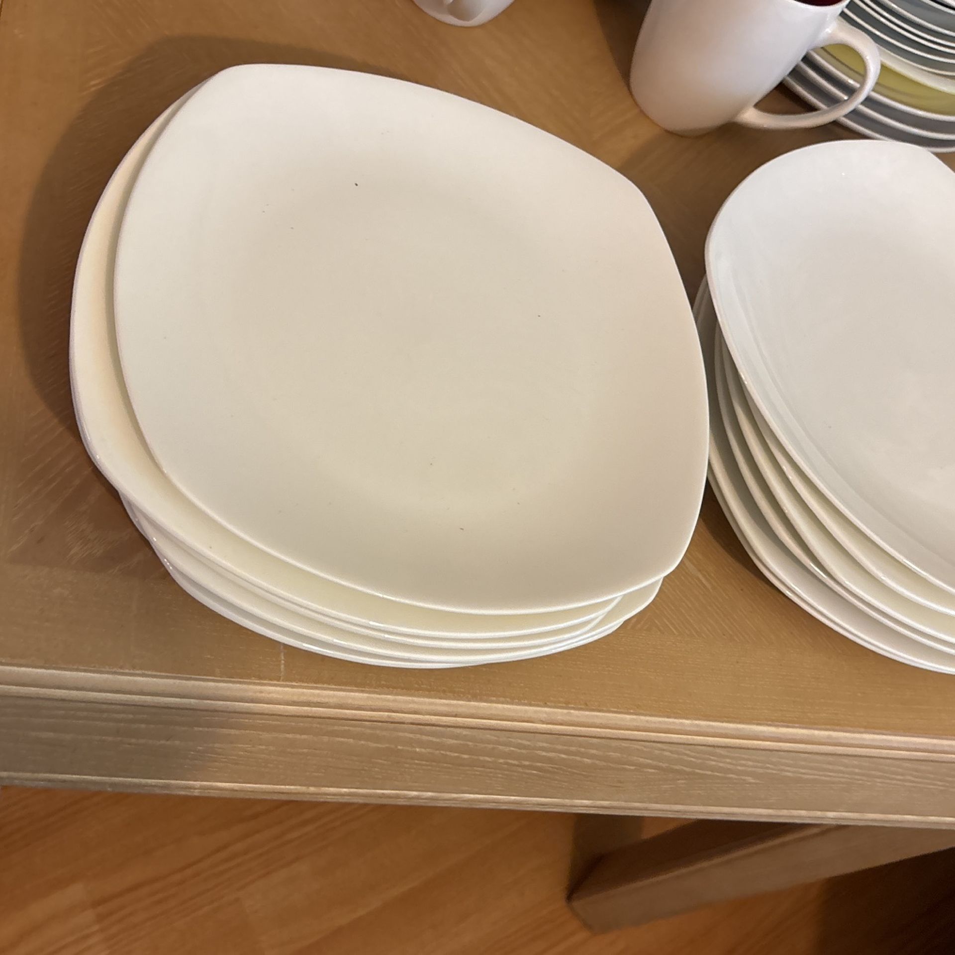12 Plates Fine Bone China