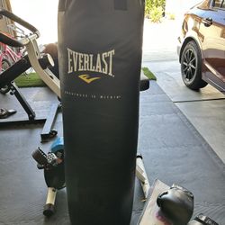 BOXING PUNCHING BAG