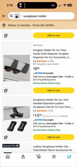 Set of 2 Sunglasses Clips