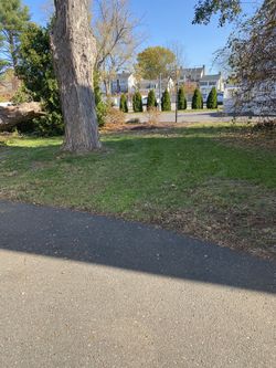 Moving Furniture and others Appliances or Lanw care