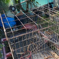 Dog Cage
