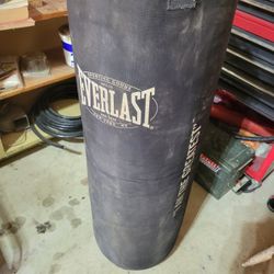 Everlast Pro Punching Bag