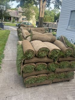 Fresh Sod 