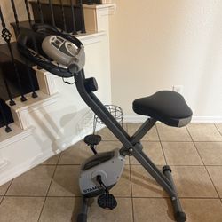 Stamina workout bike 