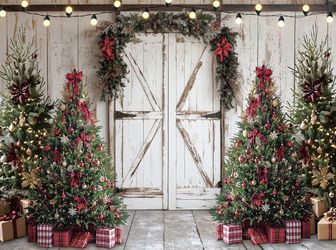 Christmas Photo Backdrop Santa Photos 