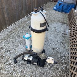 Pool Frog Chemicals Motor