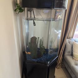 Aquarium