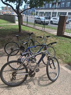 3 bikes