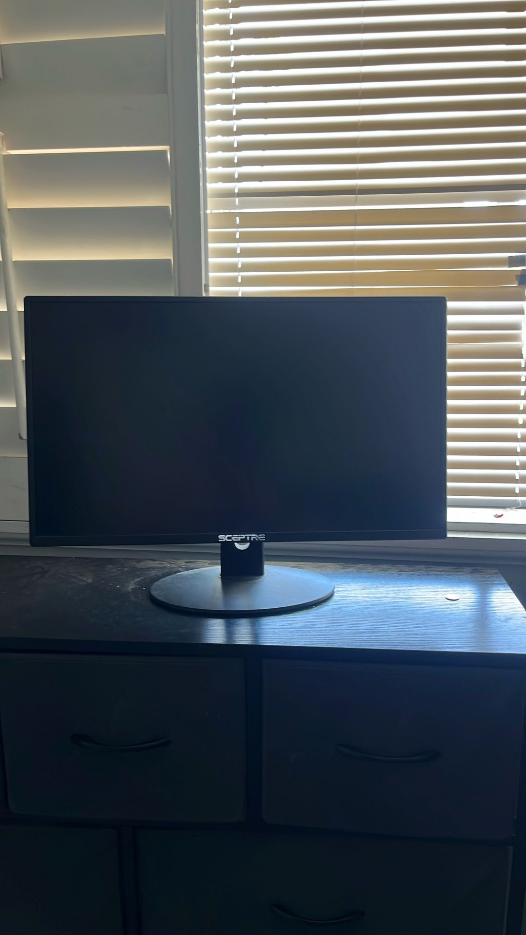 Sceptre Monitor