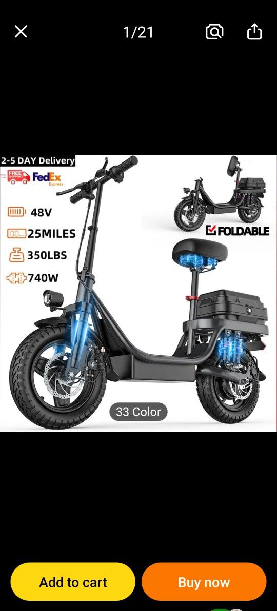 Adult Scooter 