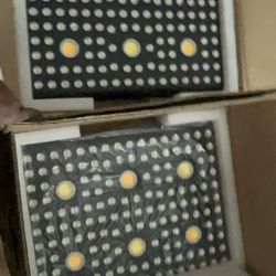 Aglex 3000 W C Series Cob Lights