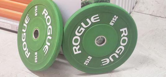 25 LB Rogue Echo Bumper Plates (Pair)