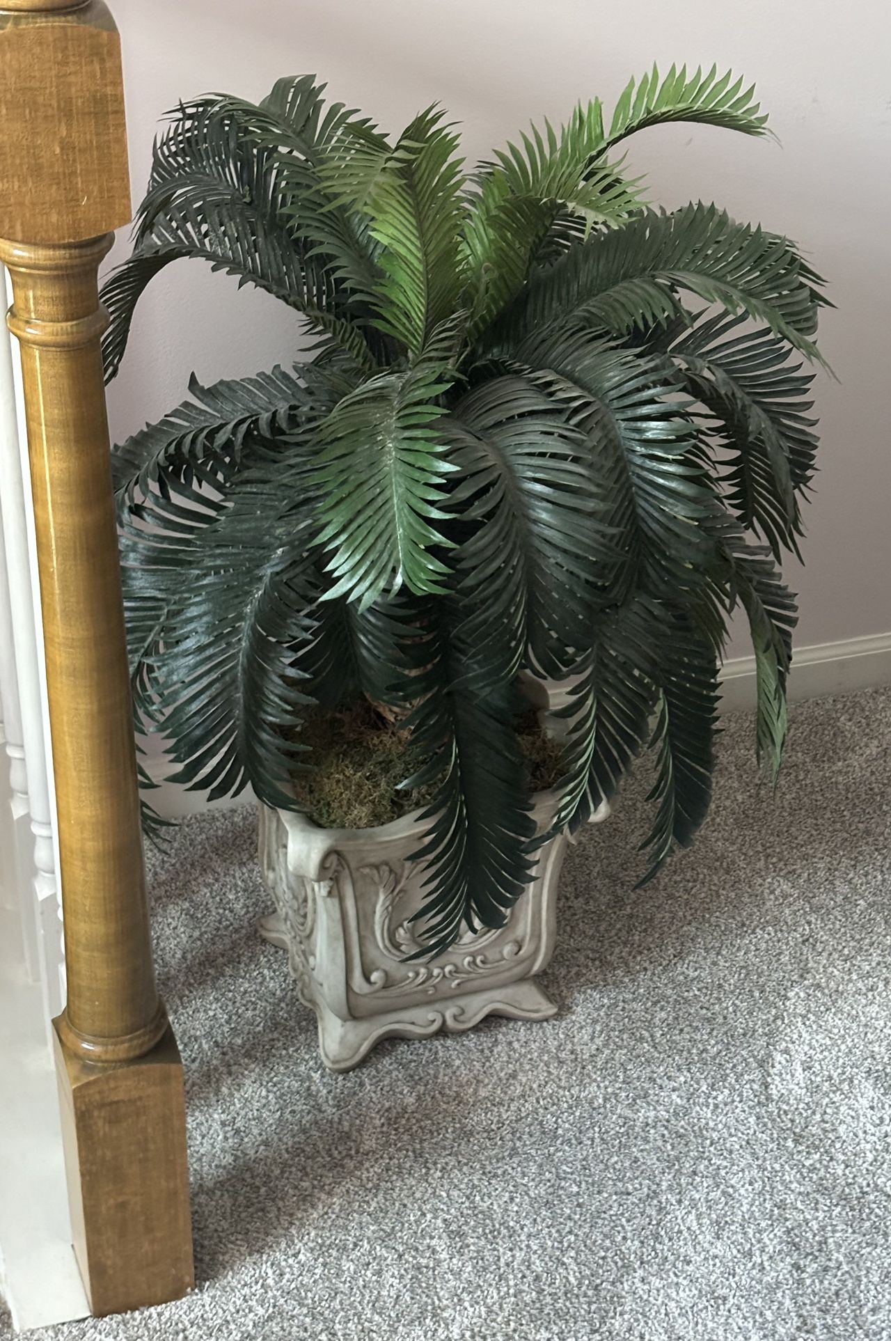 Decorative plant