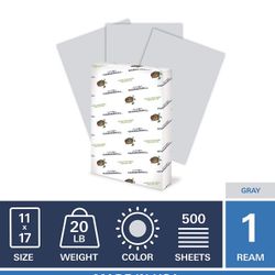 Hammermill Colored Paper, 20 lb Gray Printer Paper, 11 x 17-1 Ream (500 Sheets) - Made in the USA, Pastel Paper, 102178R