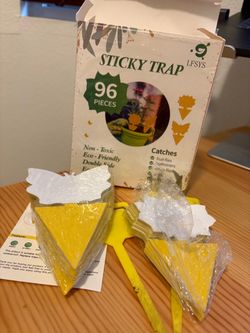 Fruit Fly Sticky Traps