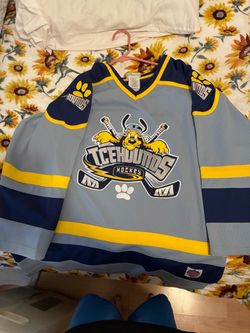 WDW Pluto hockey jersey