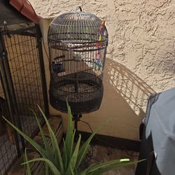 Vintage Bird Cage